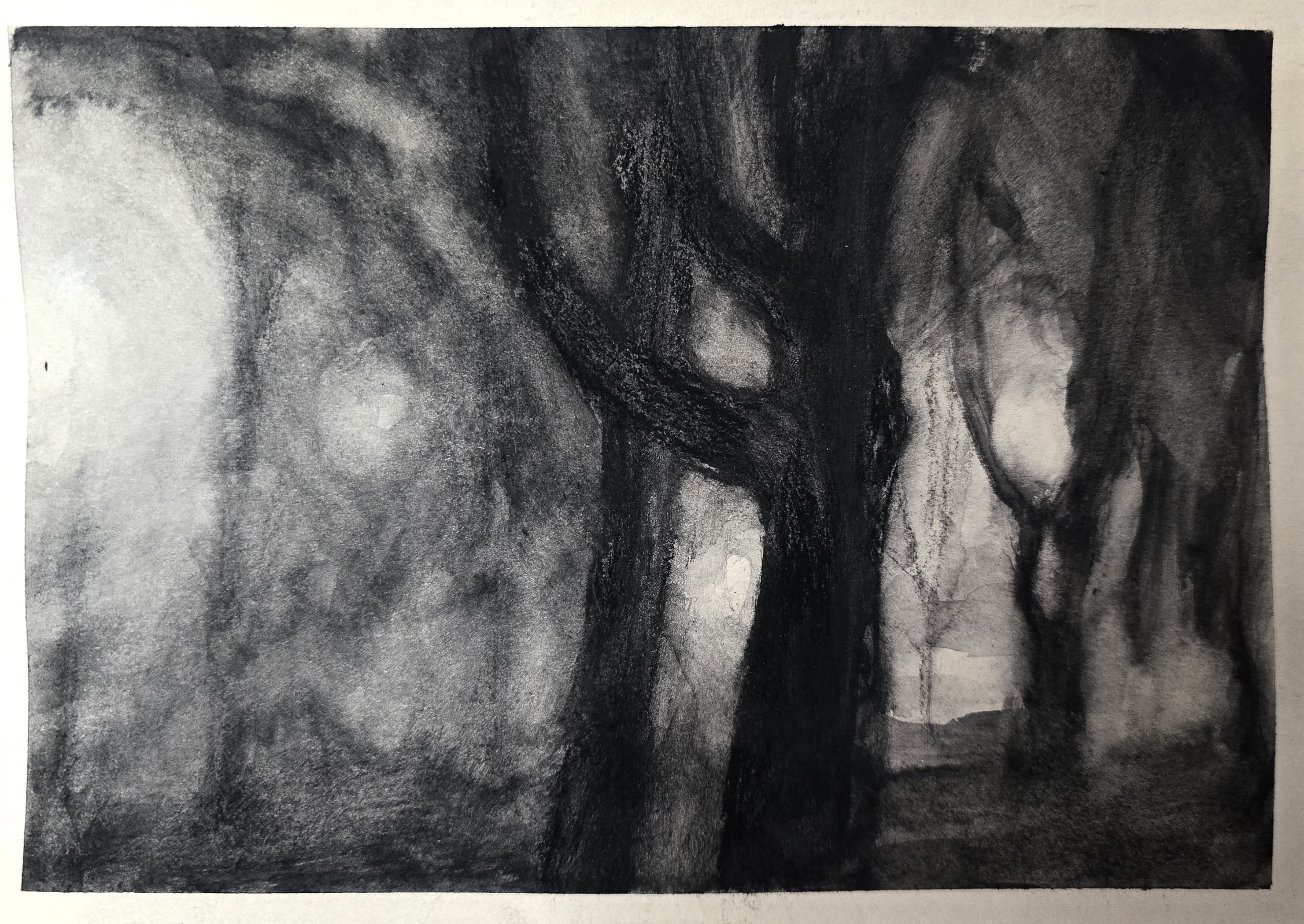 Martwa natura wieczorna